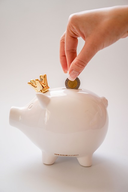 money, saving money, piggy bank, investment, finance, savings, deposit, budget, piggy bank, piggy bank, piggy bank, piggy bank, piggy bank, budget, budget